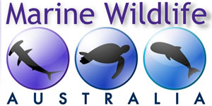 Marine Wildlife Australia