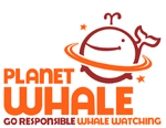 Planet Whale Responsible Whale Watching