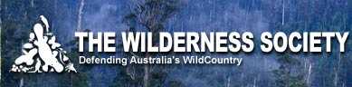 The wilderness Society